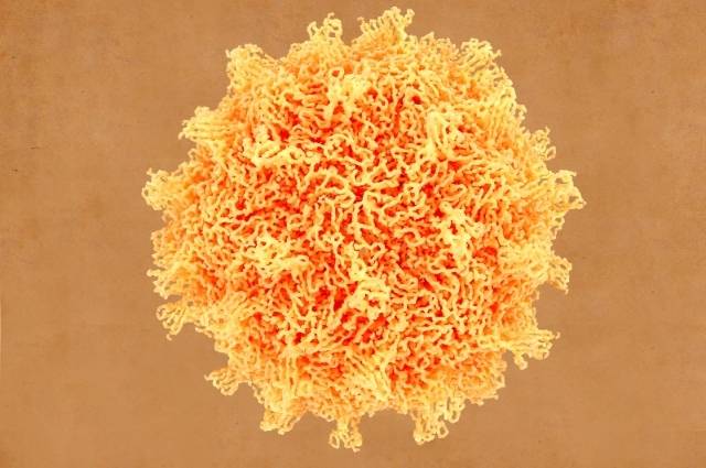 Meningite: Por que a Rapidez no Atendimento é Vital e Como seu Convênio em Sorocaba Pode Salvar Vidas