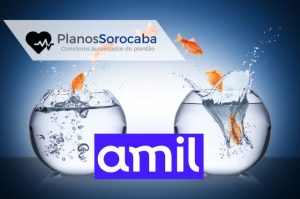 Compra de Carências Amil Sorocaba Como Mudar de Plano sem Cumprir Novos Prazos
